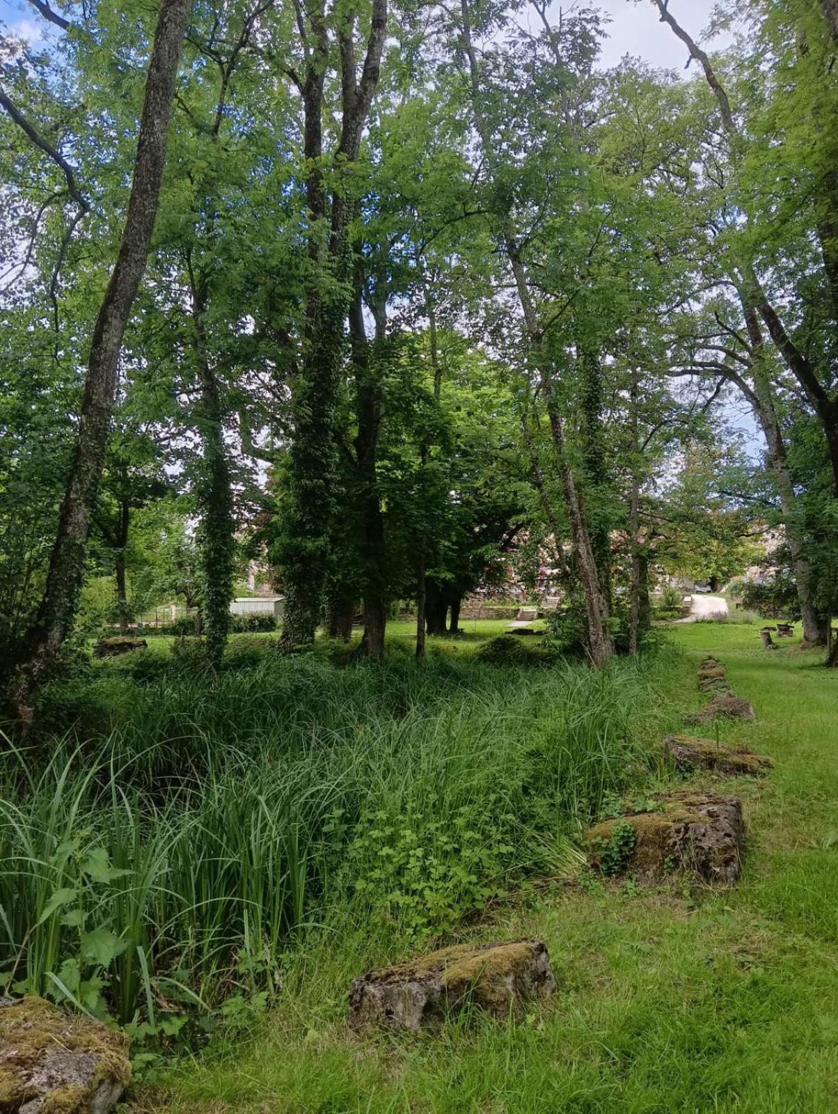 Le Domaine D'Elise Chambres Et Table D'Hotes - Vosges Saint-Ouen-les-Parey Exterior foto