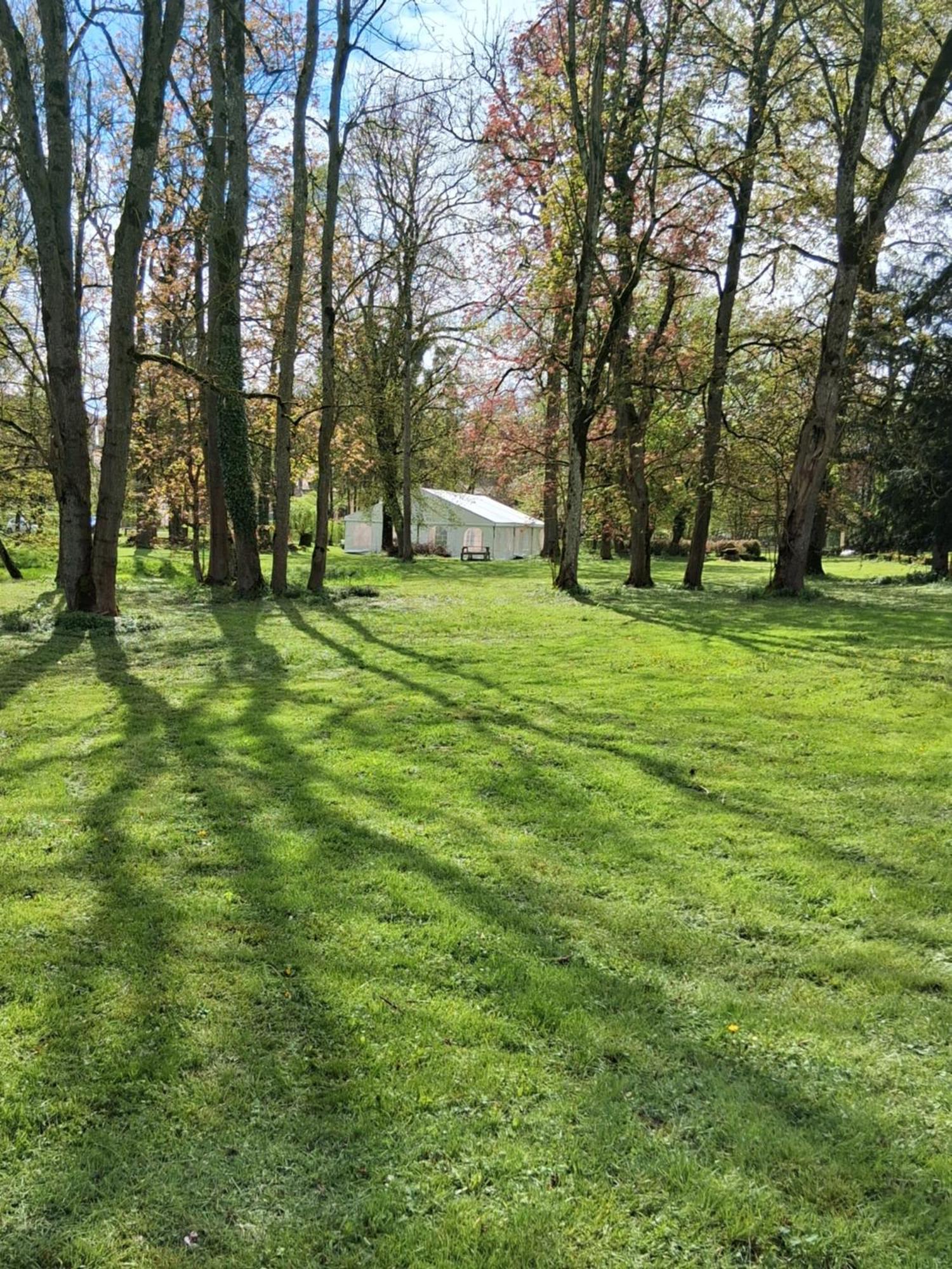 Le Domaine D'Elise Chambres Et Table D'Hotes - Vosges Saint-Ouen-les-Parey Exterior foto